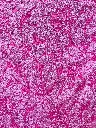 20260427_153208.webp