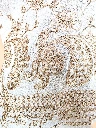 20260428_103841.webp