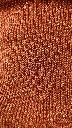 IMG_2035.webp