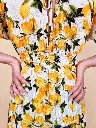 20260630_115033.webp