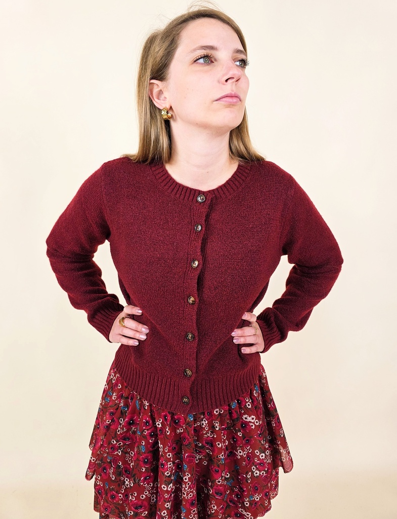 [00022_S/M] Gilet bordeaux (S/M)