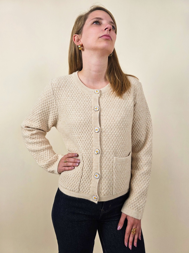 [00038] Gilet taupe boutons marguerites